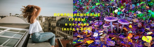 стафф Абдулино