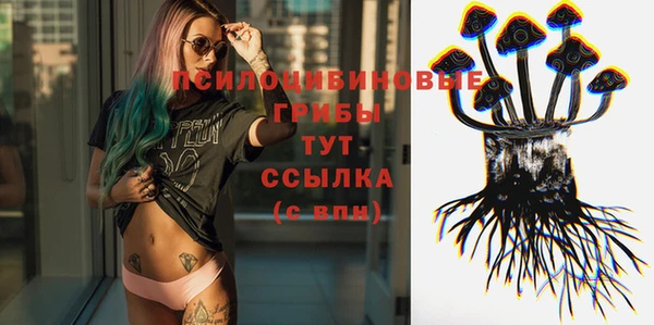 ешки Абинск